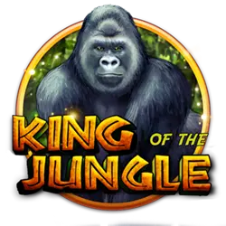 bingo plus points how to win football bet easily